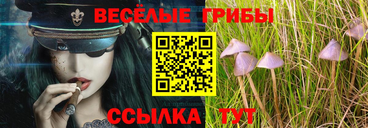 Галлюциногенные грибы прущие грибы  Галлюциногенные грибы Psilocybine cubensis  Вход с VPN  Ижевск 
